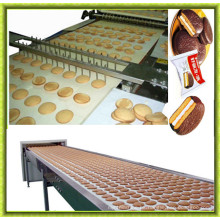 Hot Sale Sandwich Cake Production Line